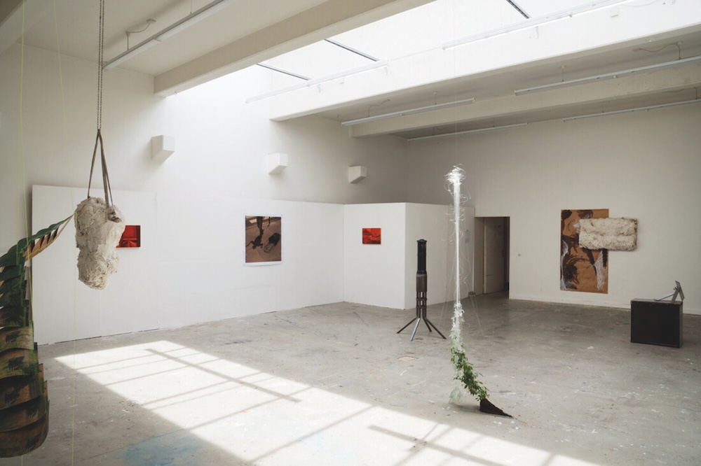 Bild: Sommerausstellung