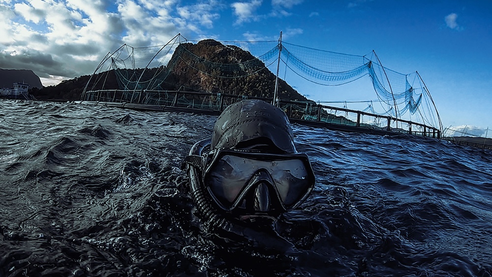 Klappeauf Karlsruhe - Artikel: Filmreihe „Klima | Krisen | Utopien“ Bild: Filmreihe „Klima | Krisen | Utopien“