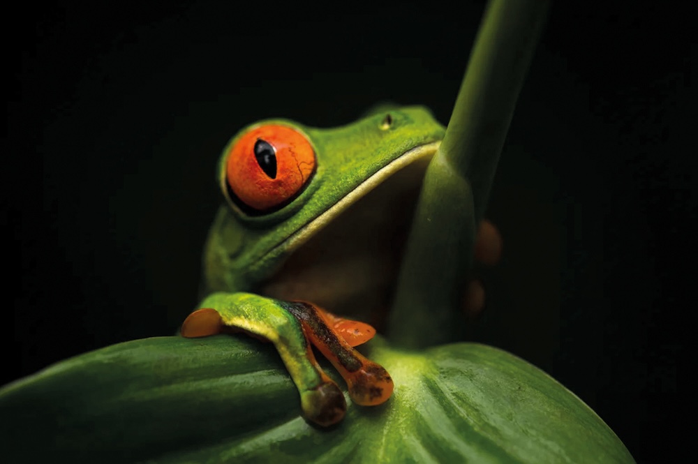 Klappeauf Karlsruhe - Artikel: Multivisionsschau „Naturwunder Erde“ Bild: Multivisionsschau „Naturwunder Erde“