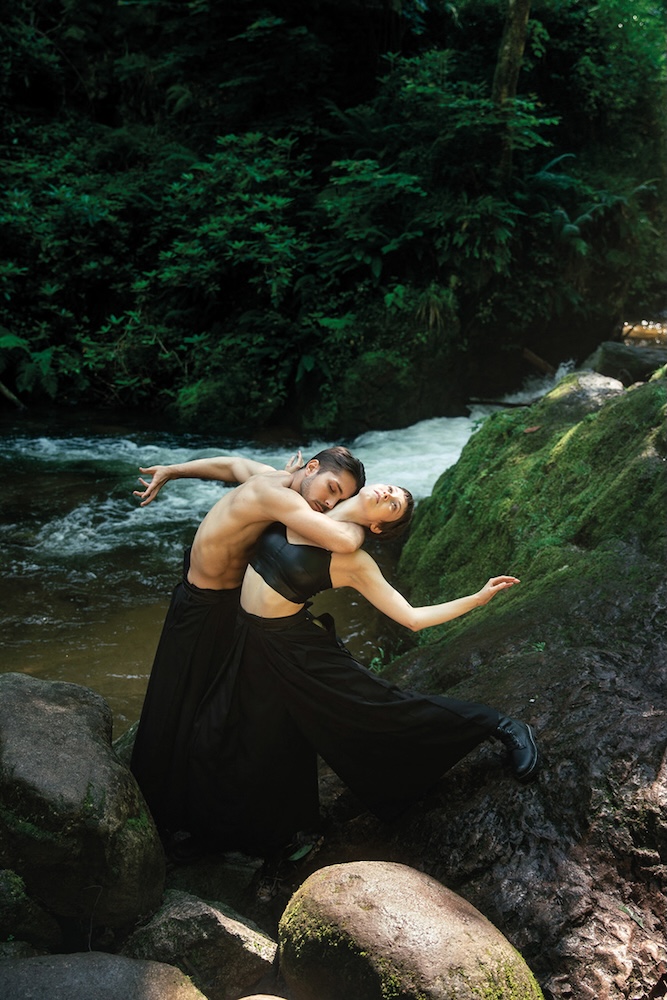 Klappeauf Karlsruhe - Artikel: Schwanensee Bild - Schwanensee