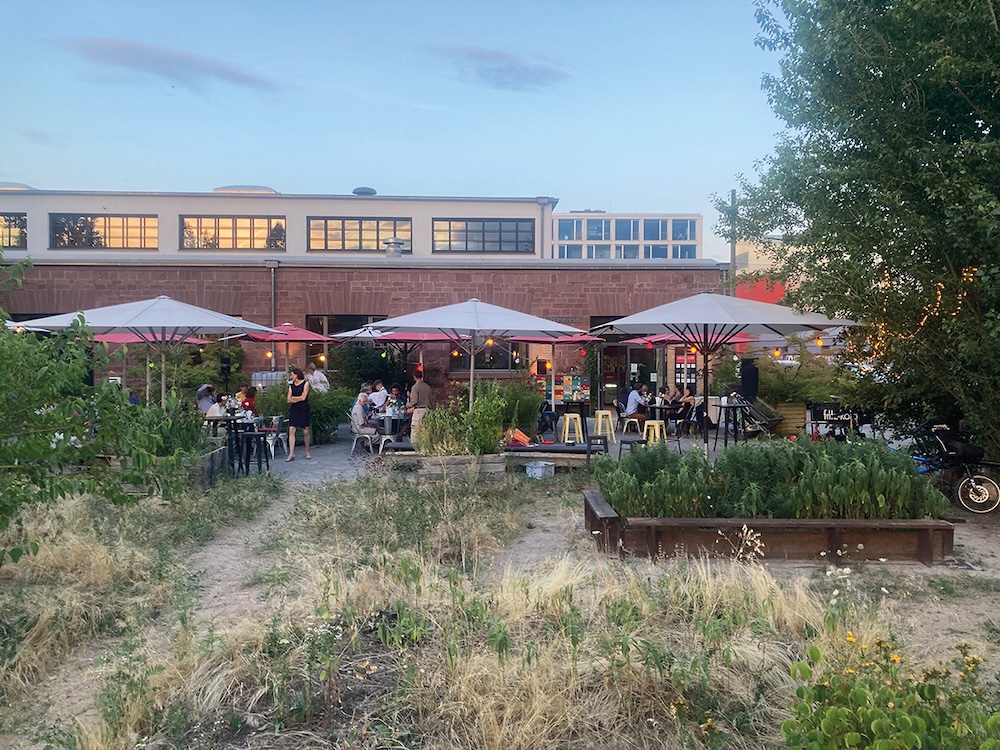 Bild: Ausgeschlachtet! 2026